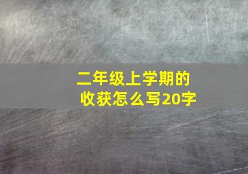 二年级上学期的收获怎么写20字