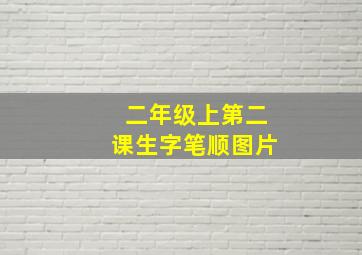 二年级上第二课生字笔顺图片