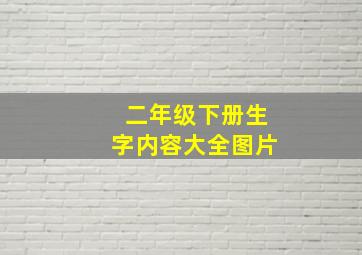 二年级下册生字内容大全图片