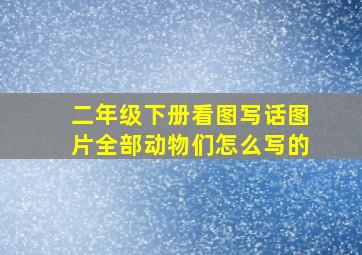 二年级下册看图写话图片全部动物们怎么写的