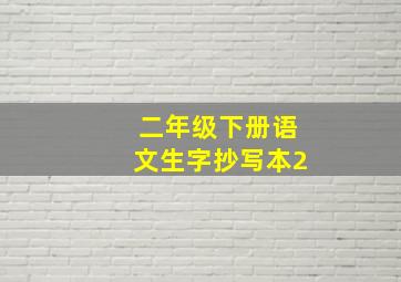 二年级下册语文生字抄写本2