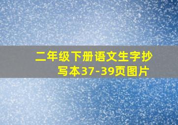 二年级下册语文生字抄写本37-39页图片