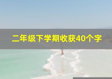 二年级下学期收获40个字