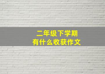 二年级下学期有什么收获作文