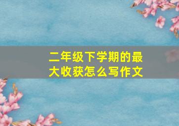 二年级下学期的最大收获怎么写作文