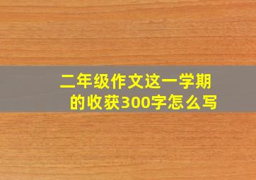 二年级作文这一学期的收获300字怎么写