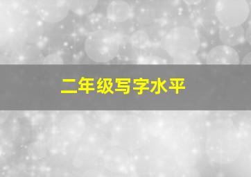 二年级写字水平