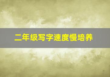 二年级写字速度慢培养