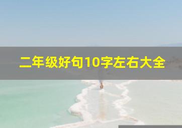 二年级好句10字左右大全