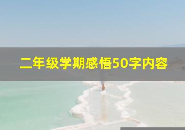 二年级学期感悟50字内容