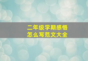 二年级学期感悟怎么写范文大全