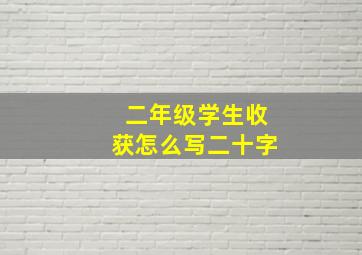 二年级学生收获怎么写二十字