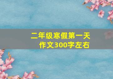 二年级寒假第一天作文300字左右