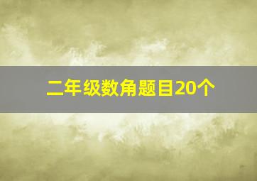 二年级数角题目20个