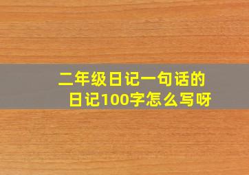 二年级日记一句话的日记100字怎么写呀