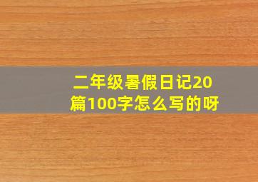 二年级暑假日记20篇100字怎么写的呀