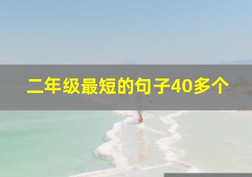 二年级最短的句子40多个