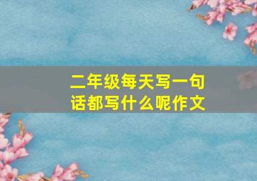 二年级每天写一句话都写什么呢作文