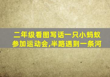 二年级看图写话一只小蚂蚁参加运动会,半路遇到一条河