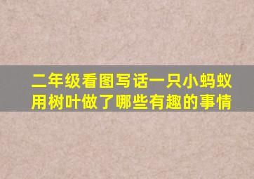 二年级看图写话一只小蚂蚁用树叶做了哪些有趣的事情