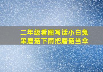 二年级看图写话小白兔采蘑菇下雨把磨菇当伞