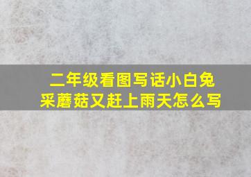 二年级看图写话小白兔采蘑菇又赶上雨天怎么写