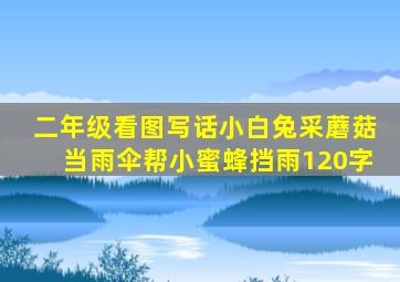 二年级看图写话小白兔采蘑菇当雨伞帮小蜜蜂挡雨120字