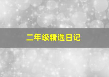 二年级精选日记