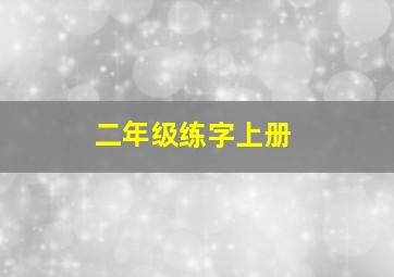 二年级练字上册