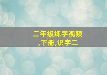 二年级练字视频,下册,识字二