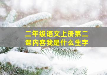 二年级语文上册第二课内容我是什么生字