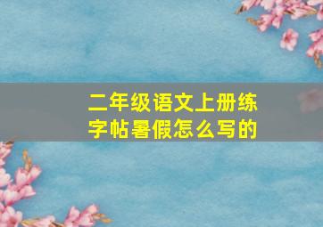 二年级语文上册练字帖暑假怎么写的