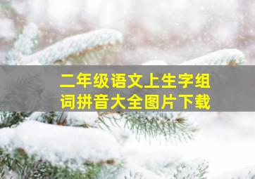 二年级语文上生字组词拼音大全图片下载