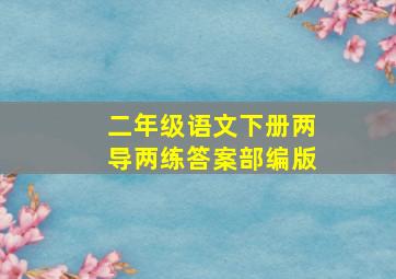 二年级语文下册两导两练答案部编版