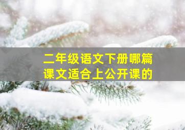 二年级语文下册哪篇课文适合上公开课的