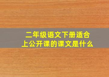 二年级语文下册适合上公开课的课文是什么