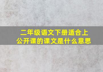 二年级语文下册适合上公开课的课文是什么意思