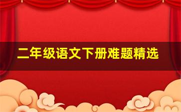 二年级语文下册难题精选