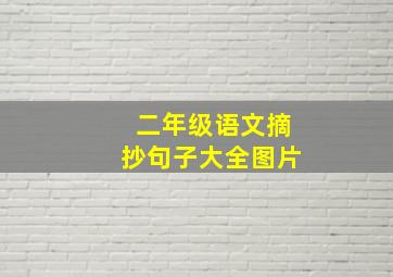 二年级语文摘抄句子大全图片