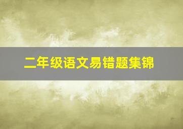 二年级语文易错题集锦