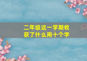 二年级这一学期收获了什么用十个字