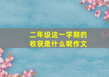 二年级这一学期的收获是什么呢作文