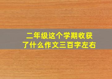 二年级这个学期收获了什么作文三百字左右