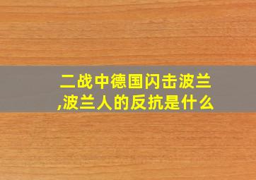 二战中德国闪击波兰,波兰人的反抗是什么