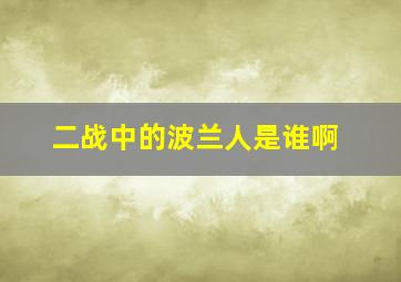 二战中的波兰人是谁啊