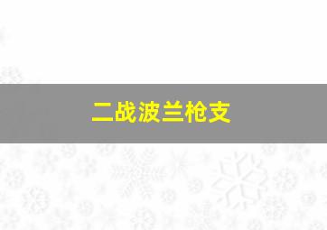 二战波兰枪支