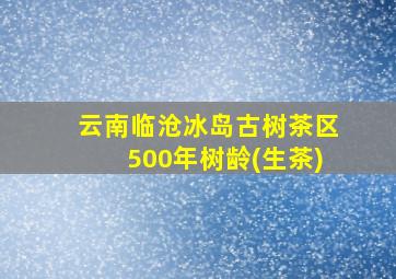 云南临沧冰岛古树茶区500年树龄(生茶)