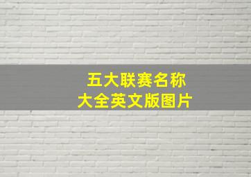 五大联赛名称大全英文版图片