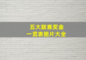 五大联赛奖金一览表图片大全