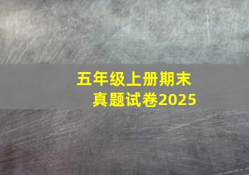 五年级上册期末真题试卷2025